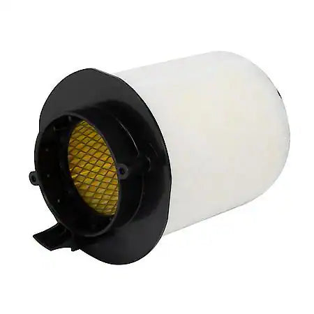 CARQUEST AIR FILTER 1 EA CQBLU 11395237