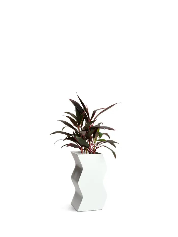 HAY Curvy Planter - Ash