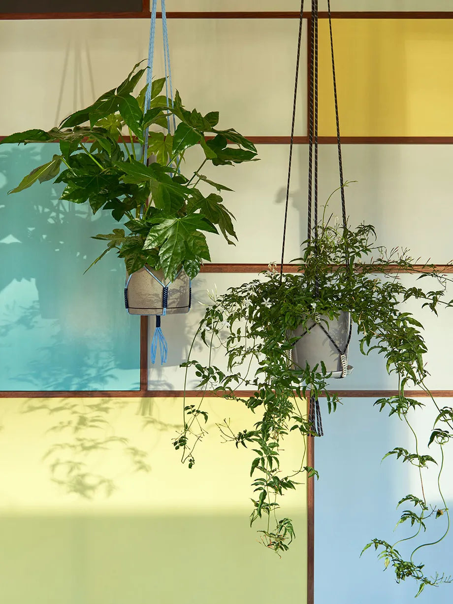 HAY Phanta Plant Hanger - Light Blue100204727